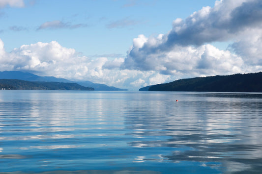 Photo: Calm Hood Canal