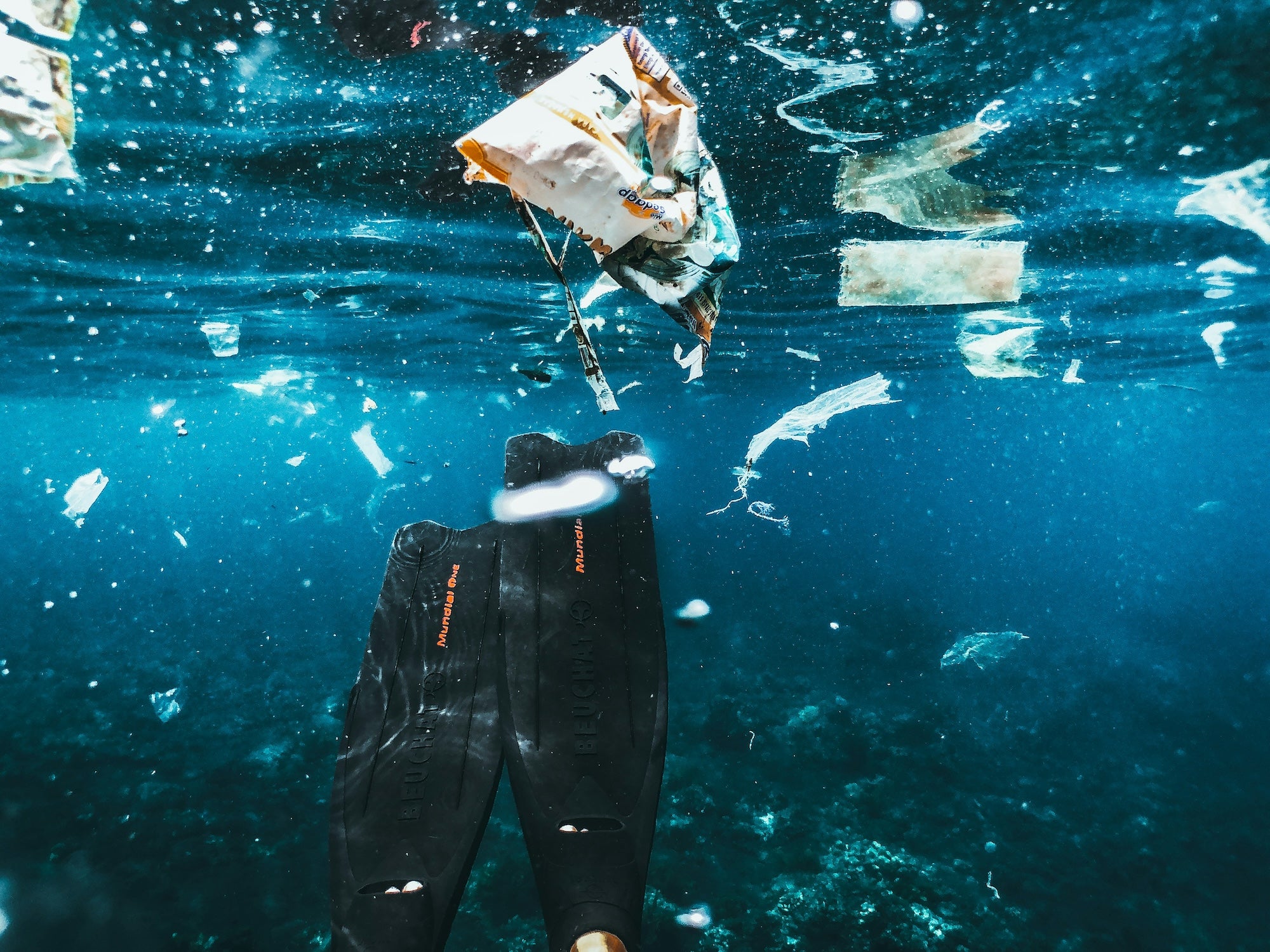 Photo: Plastic Pollution in the Ocean